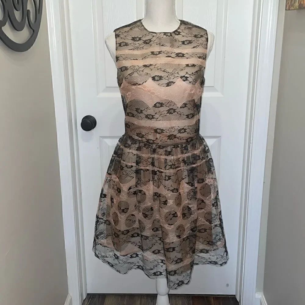 Red Valentino Sleeveless Lace Embroidered Dress